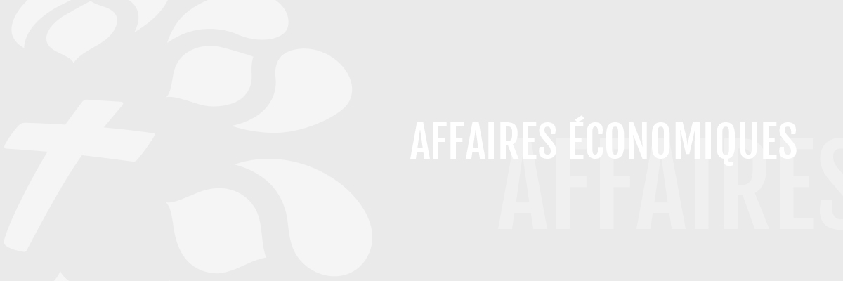 Conseil diocésain pour les affaires économiques