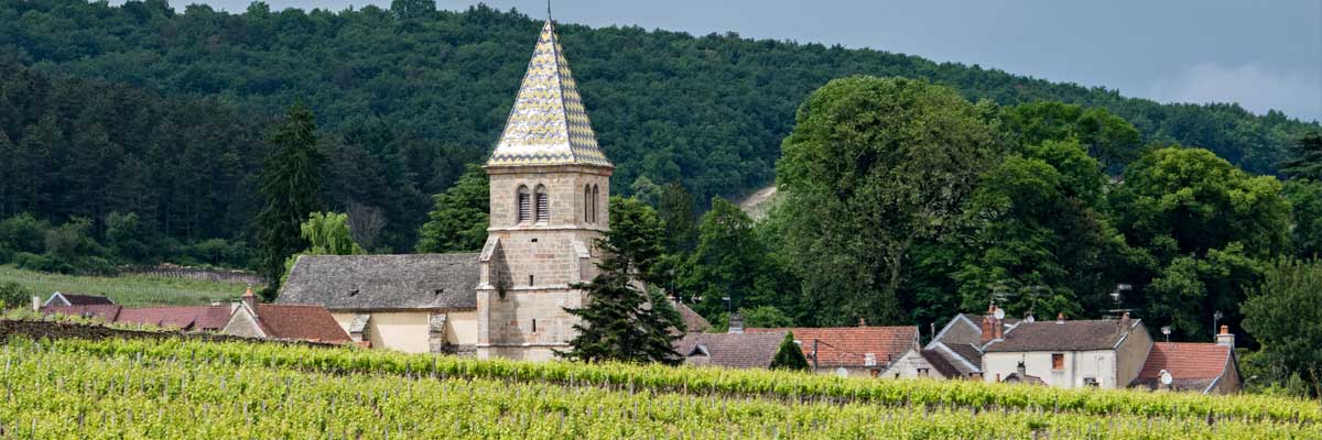 Pour une Église verte : tous concernés !