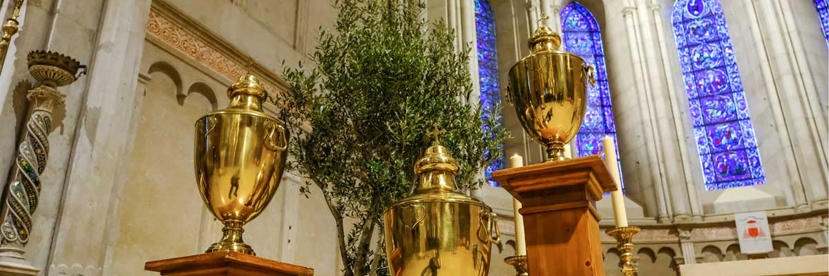 Nous célébrons la messe chrismale